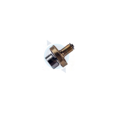 Plunger Safety Valve Assembly