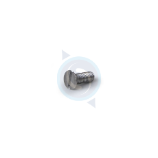 Screw Shower Screen M6x16 Nuova Simonelli